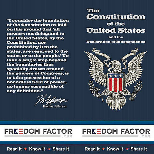 The Conservative's Pocket Constitution; Includes the Complete Text of the  US Constitution and the Bill of Rights